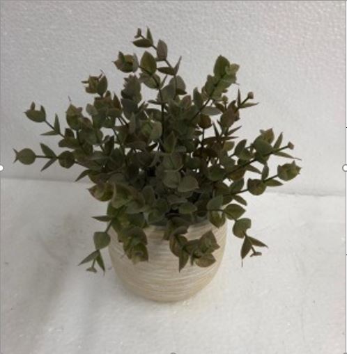 سندانه مع نبات