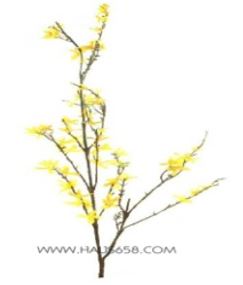 [2034055] غصن ورد 20 * 153 * 0